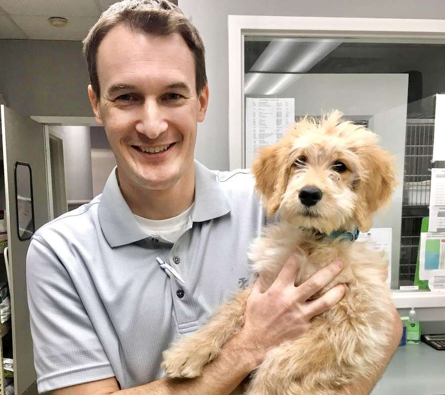 Dr. Kris Pippin, DVM holding a puppy